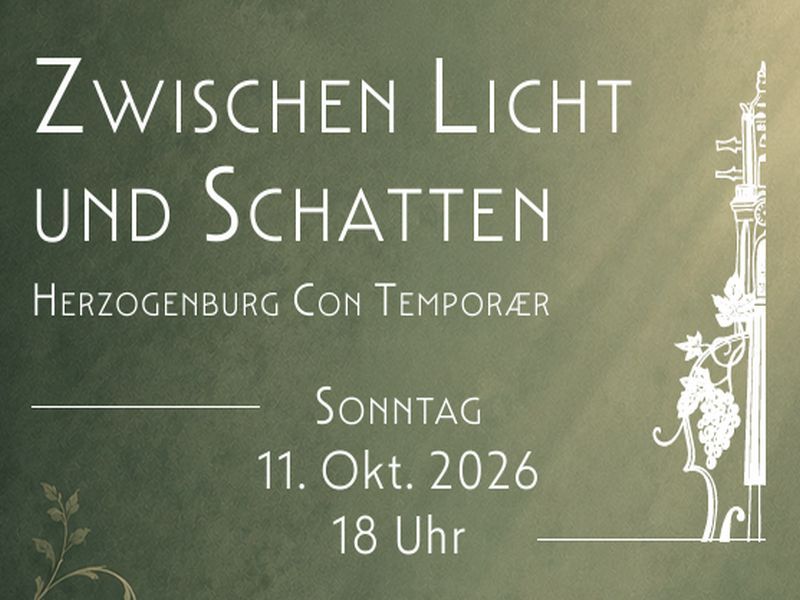 va_Zwischen_Licht_und_Schatten_Bild_2026-10-11.jpg